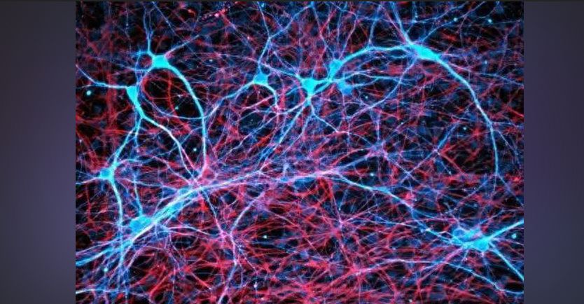人类为什么必须睡觉?插图