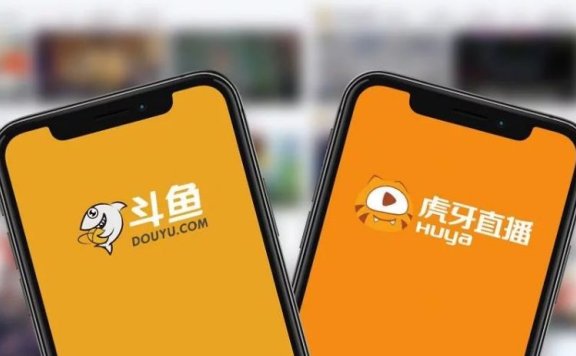 国内常见的中文ASMR视频平台，那个更好？